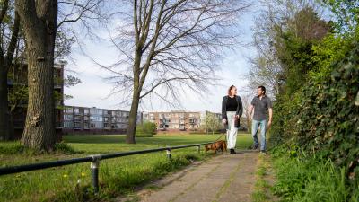 Coco en Terry in wijk in IJmuiden