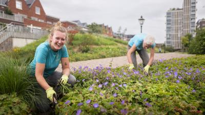 Het Singelpark van Leiden 