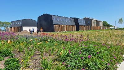 Houten woningen bij STEK en 's Hertogenbosch