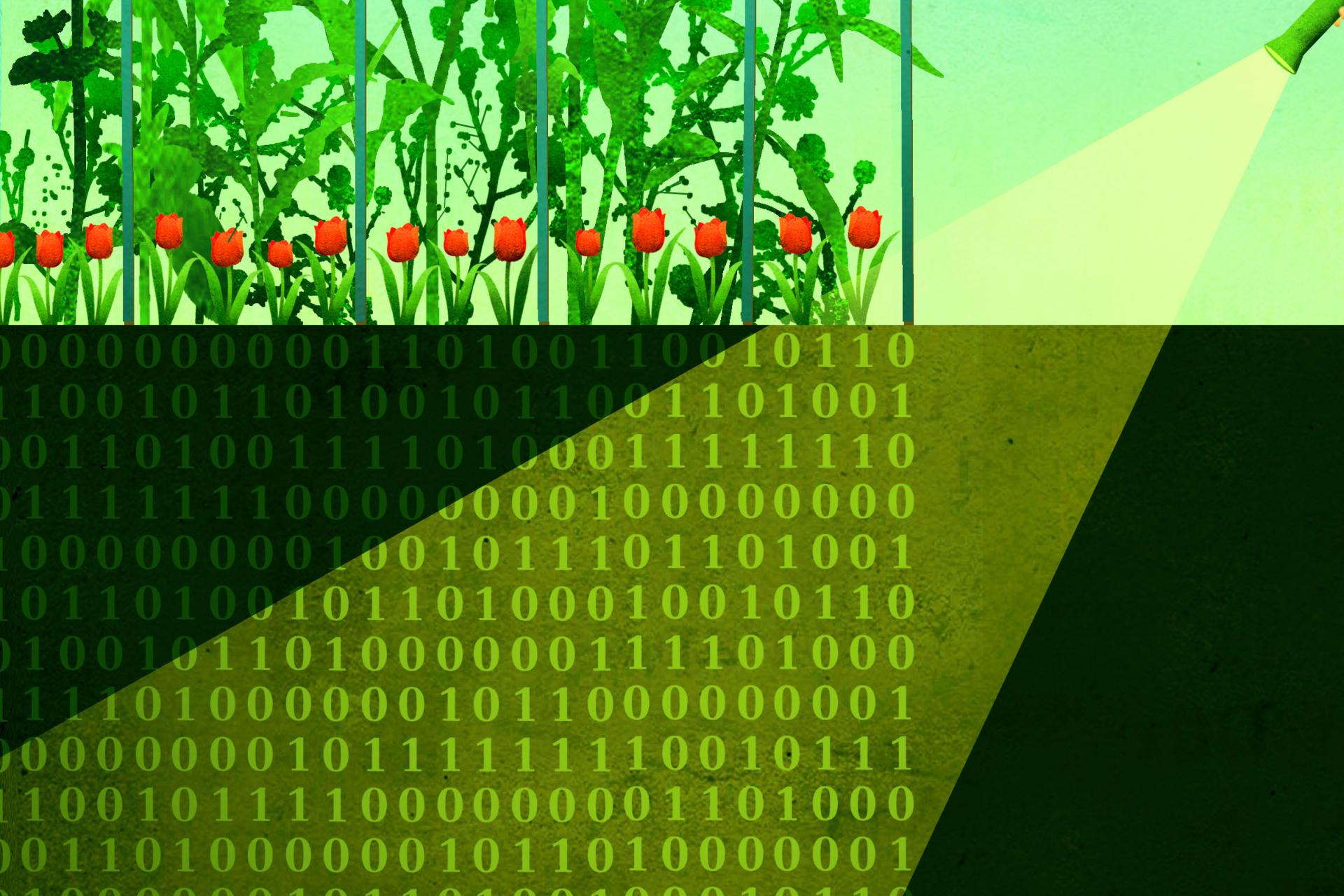 Digitalisering tuinbouw