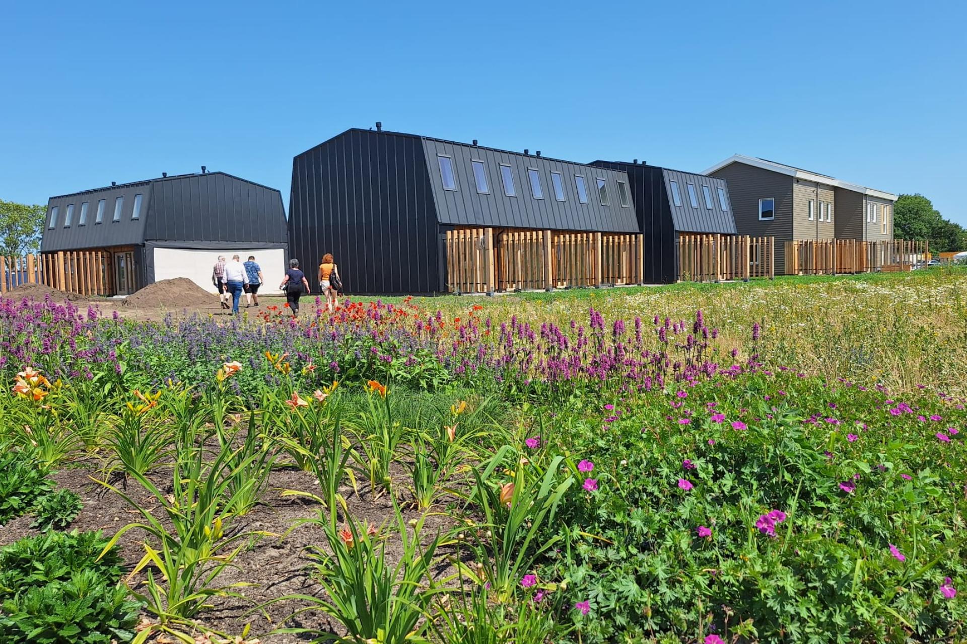 Houten woningen bij STEK en 's Hertogenbosch