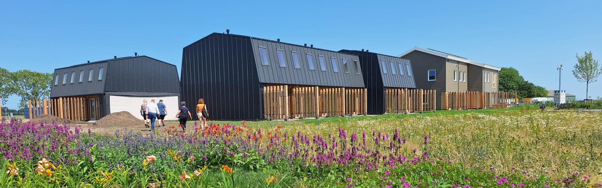 Houten woningen bij STEK en 's Hertogenbosch