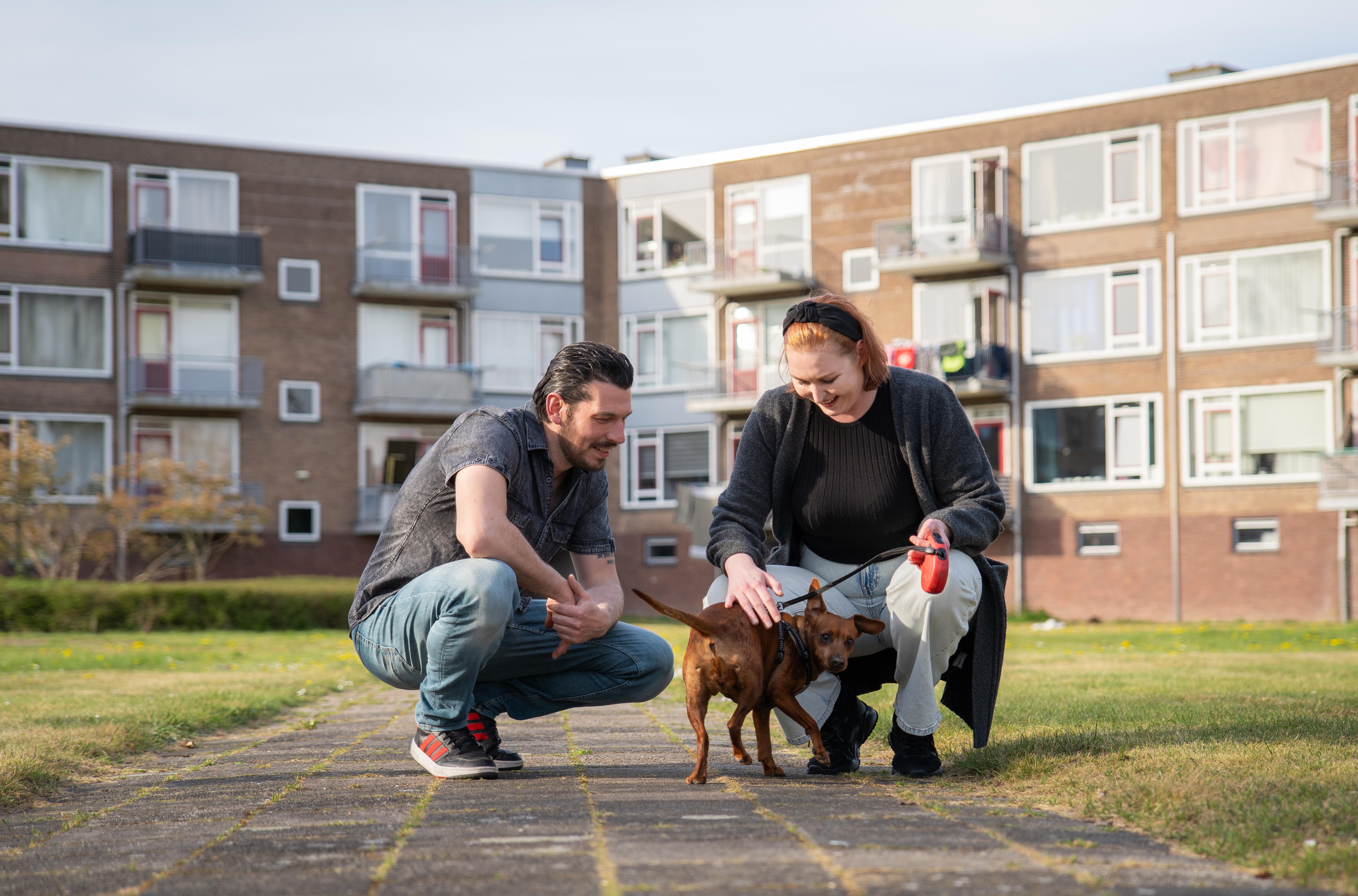 Coco en Terry in wijk in IJmuiden