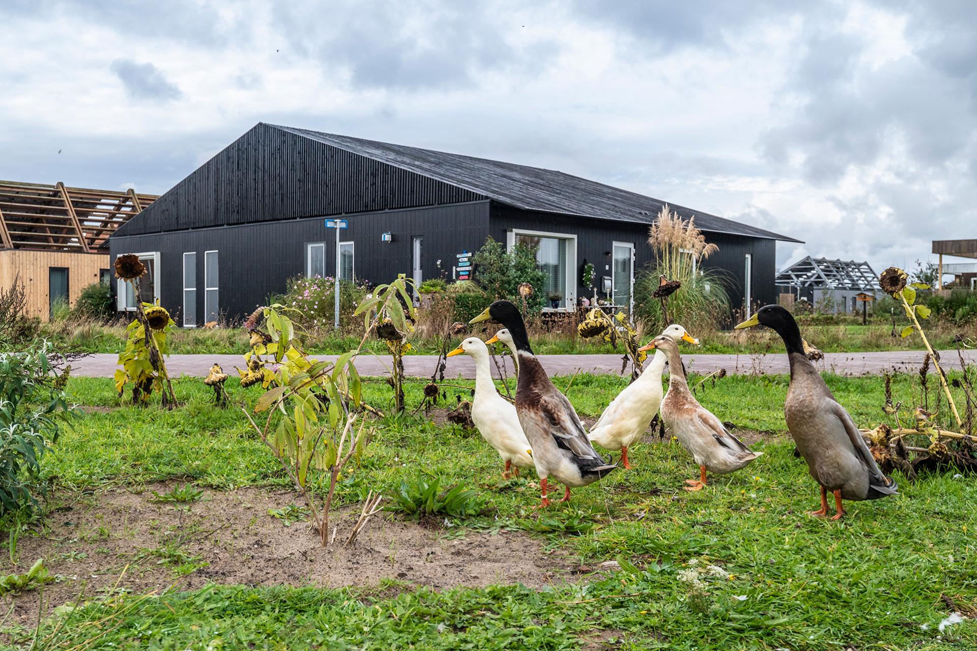 De Tuunen op Texel