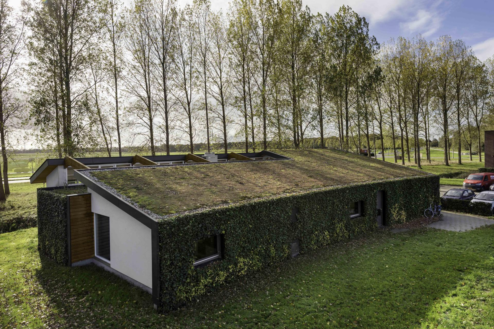 Op de voorgrond de biofilische tandartspraktijk van architect Daan Bruggink en daar achter een rij bomen