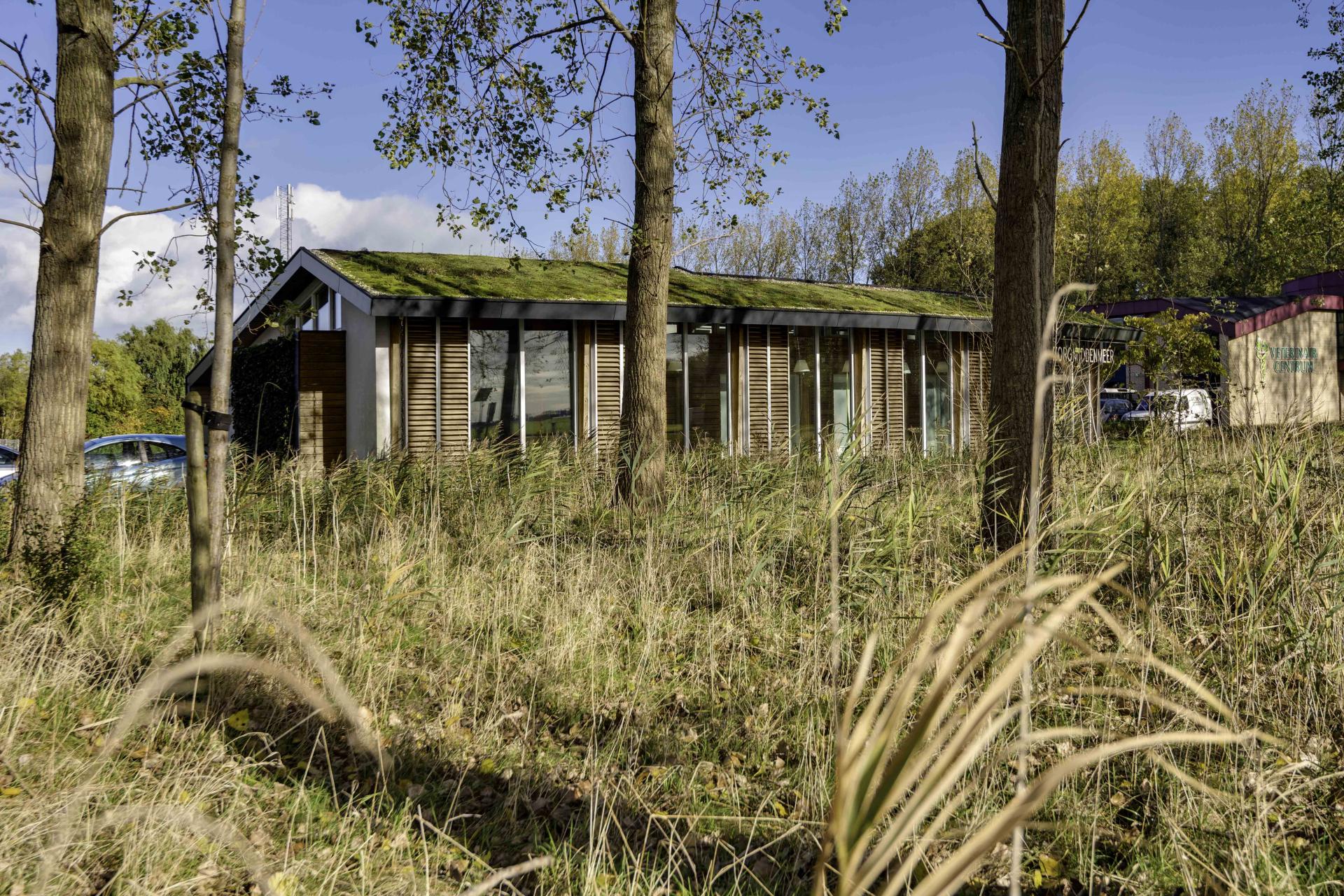 Door de bomen heen kijk je naar de biofilische tandartspraktijk van architect Daan Bruggink